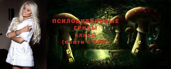 дживик Елабуга