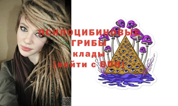 дживик Елабуга