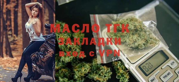 дживик Елабуга