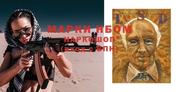 дживик Елабуга