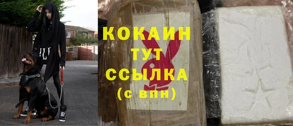 метамфетамин Ельня